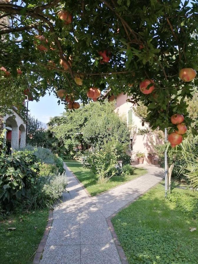 Al Rustico Hotel Torbole Sul Garda Luaran gambar