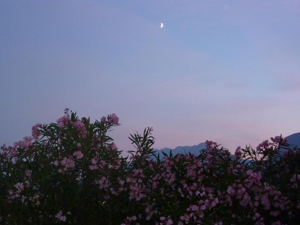 Al Rustico Hotel Torbole Sul Garda Luaran gambar